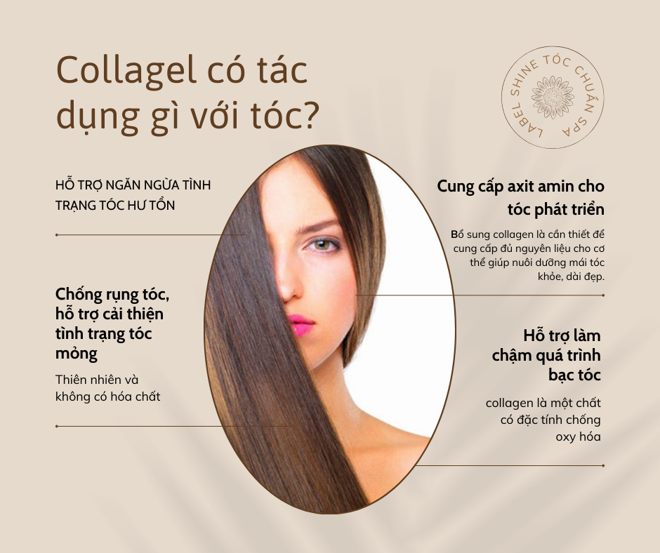 Collagen Có Tác Dụng Gì Với Cơ Thể? Hiểu Đúng Để Tận Dụng Tối Đa