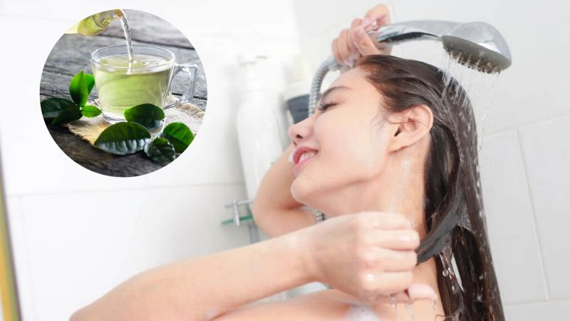 Gội đầu hoặc ủ tóc bằng trà xanh